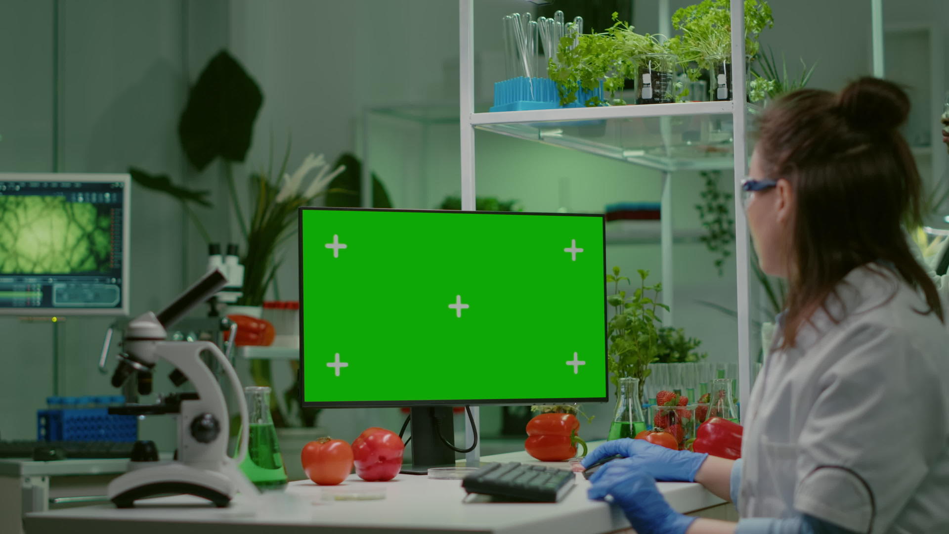 研究计算机的制药研究人员模拟绿色屏蔽装置Green屏幕视频的预览图