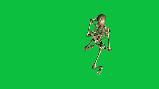 3d骨架拳击动画绿幕视频的预览图