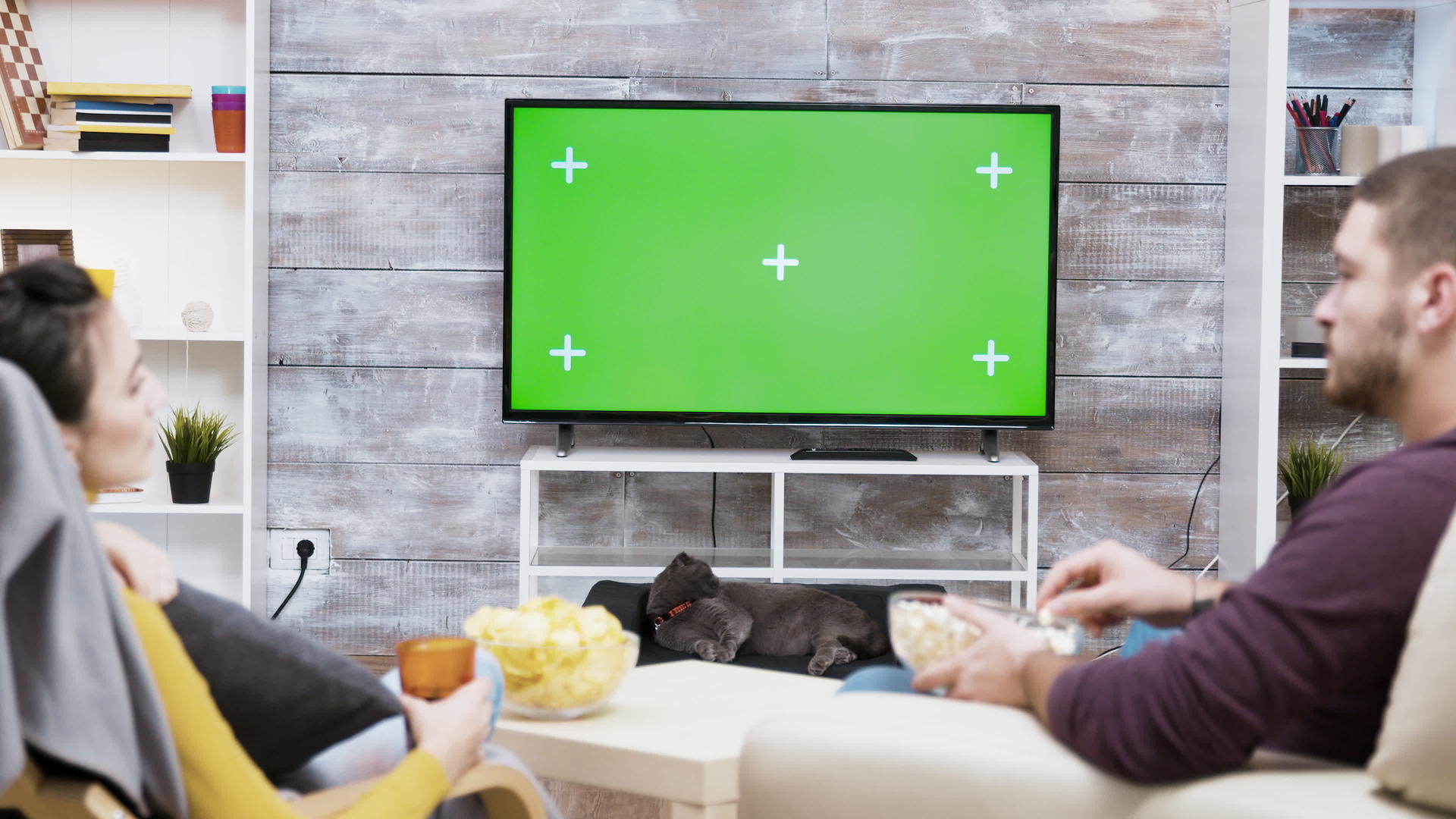 电视前用绿枝舔毛皮的猫拍的缩放镜头视频的预览图