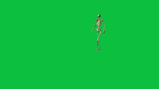 3D动画绿幕骨骼行走视频的预览图