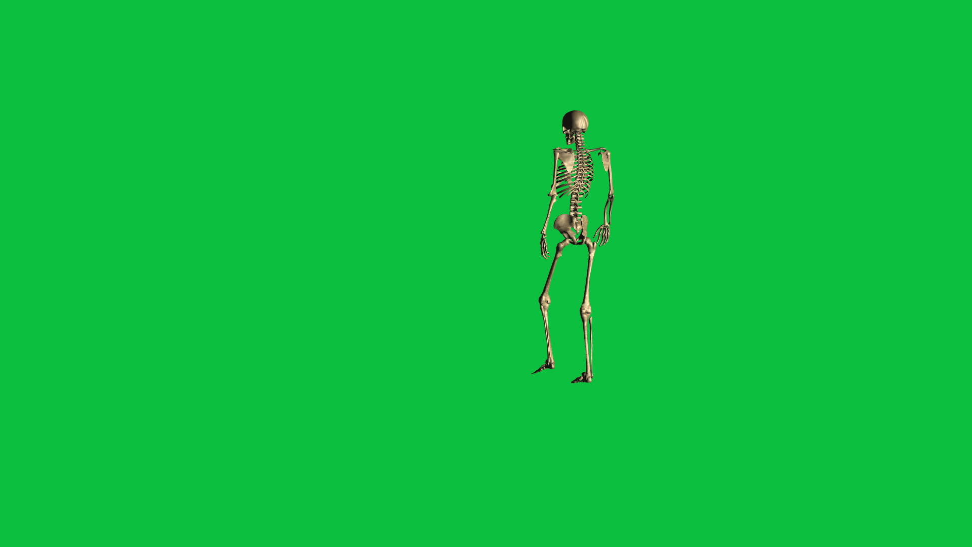 3D动画绿幕骨骼行走视频的预览图