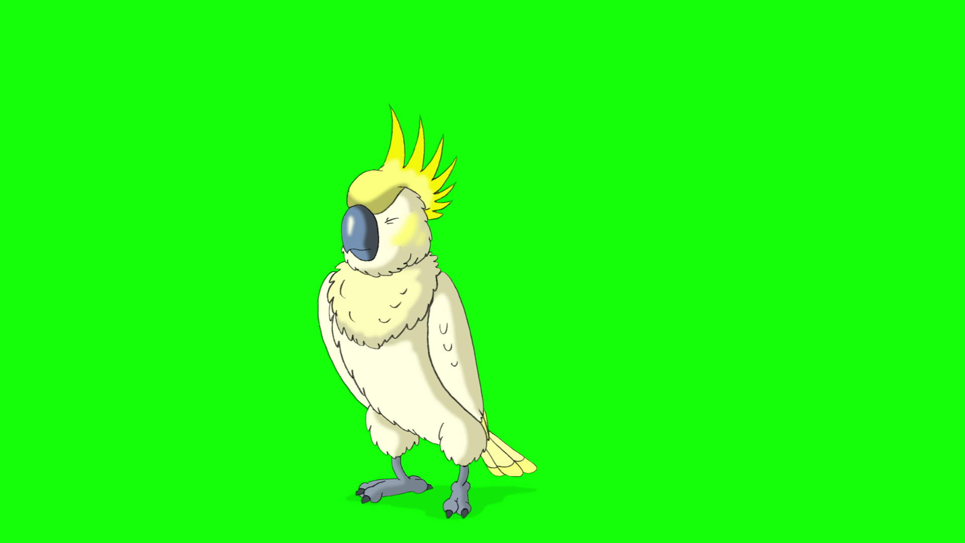 黄鹦鹉视频的预览图