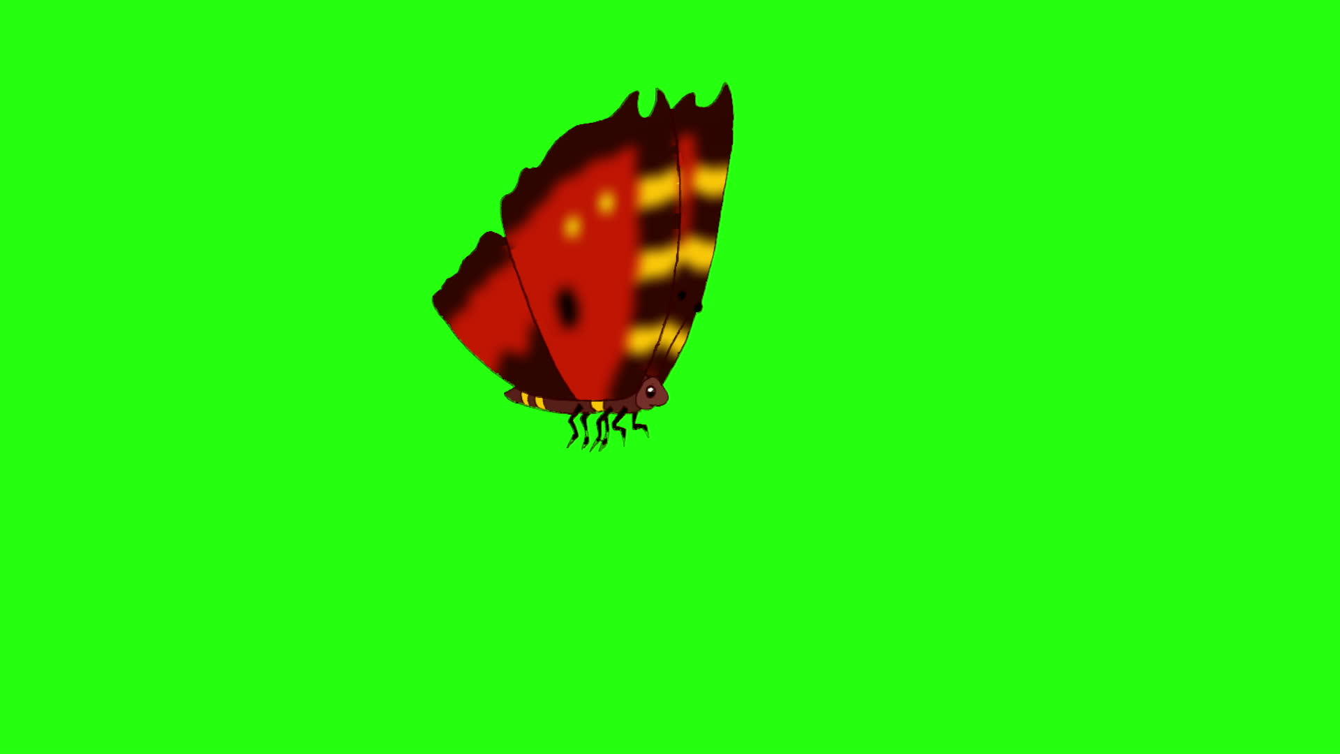 染色体周围有红色的蝴蝶视频的预览图