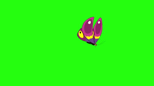 粉红色的蝴蝶飞进来飞走了染色圈钥匙视频的预览图