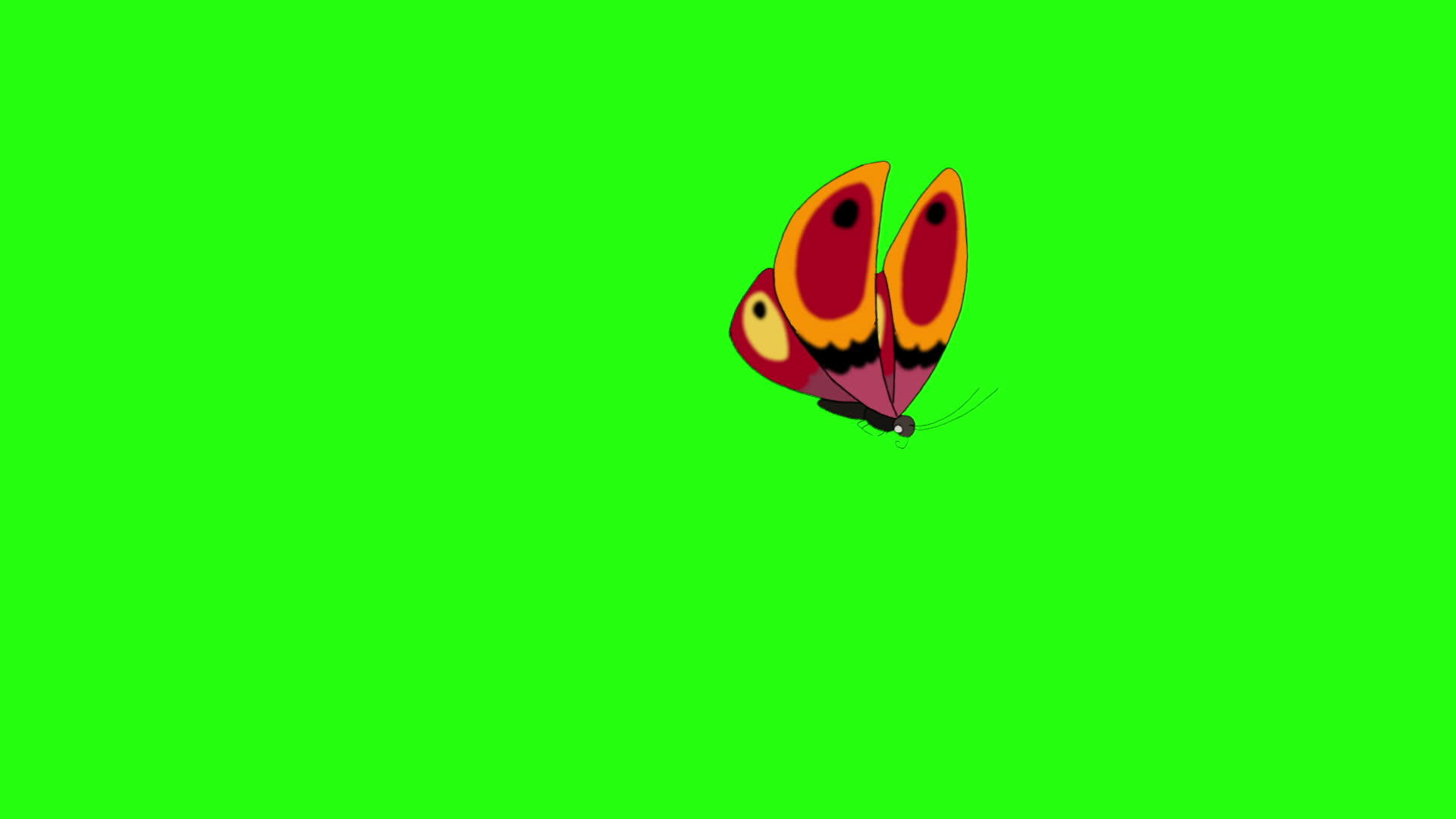 橙色的蝴蝶飞进来飞走了染色体钥匙视频的预览图