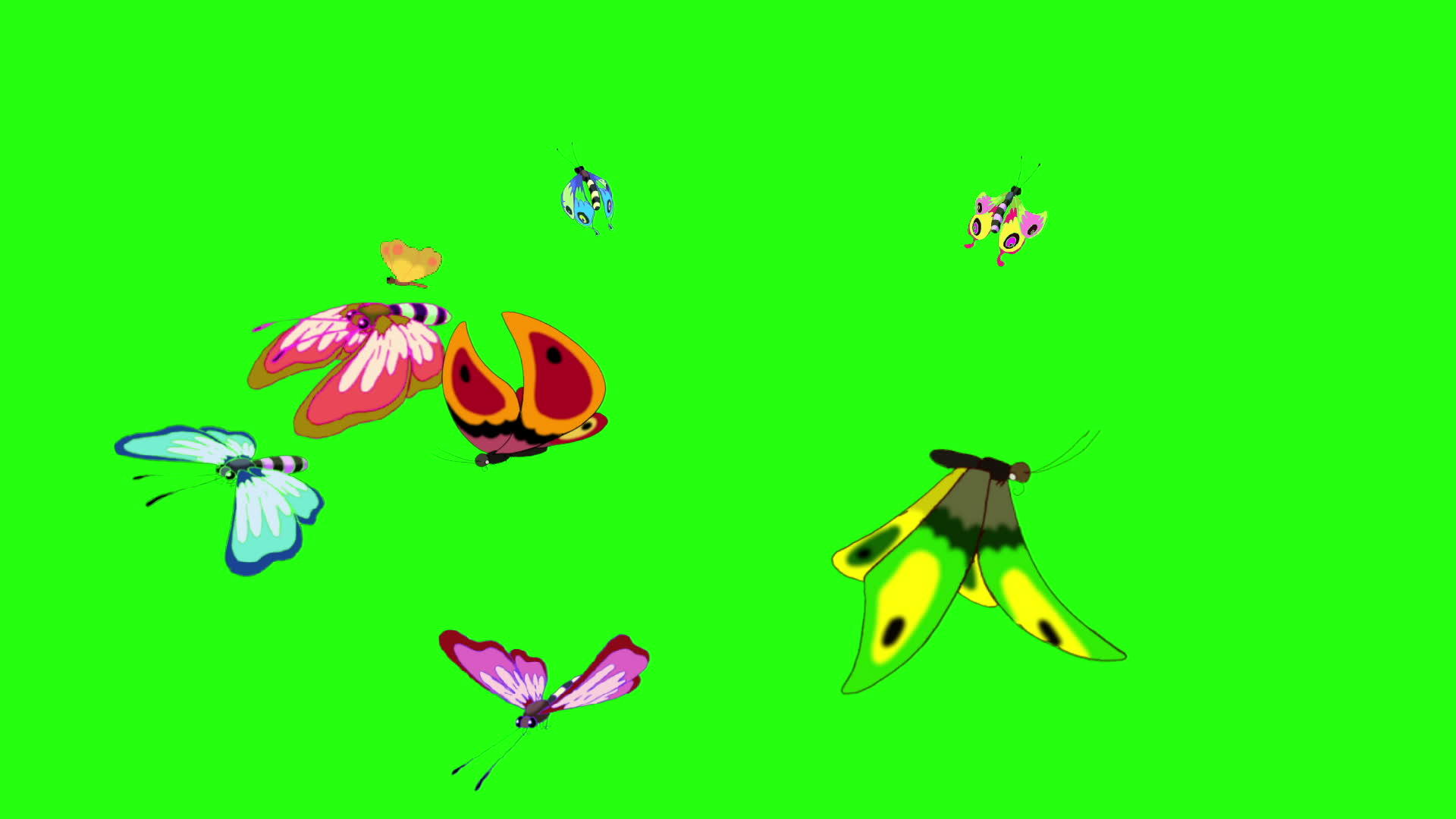 来自不同方向的彩色蝴蝶飞行染色键视频的预览图