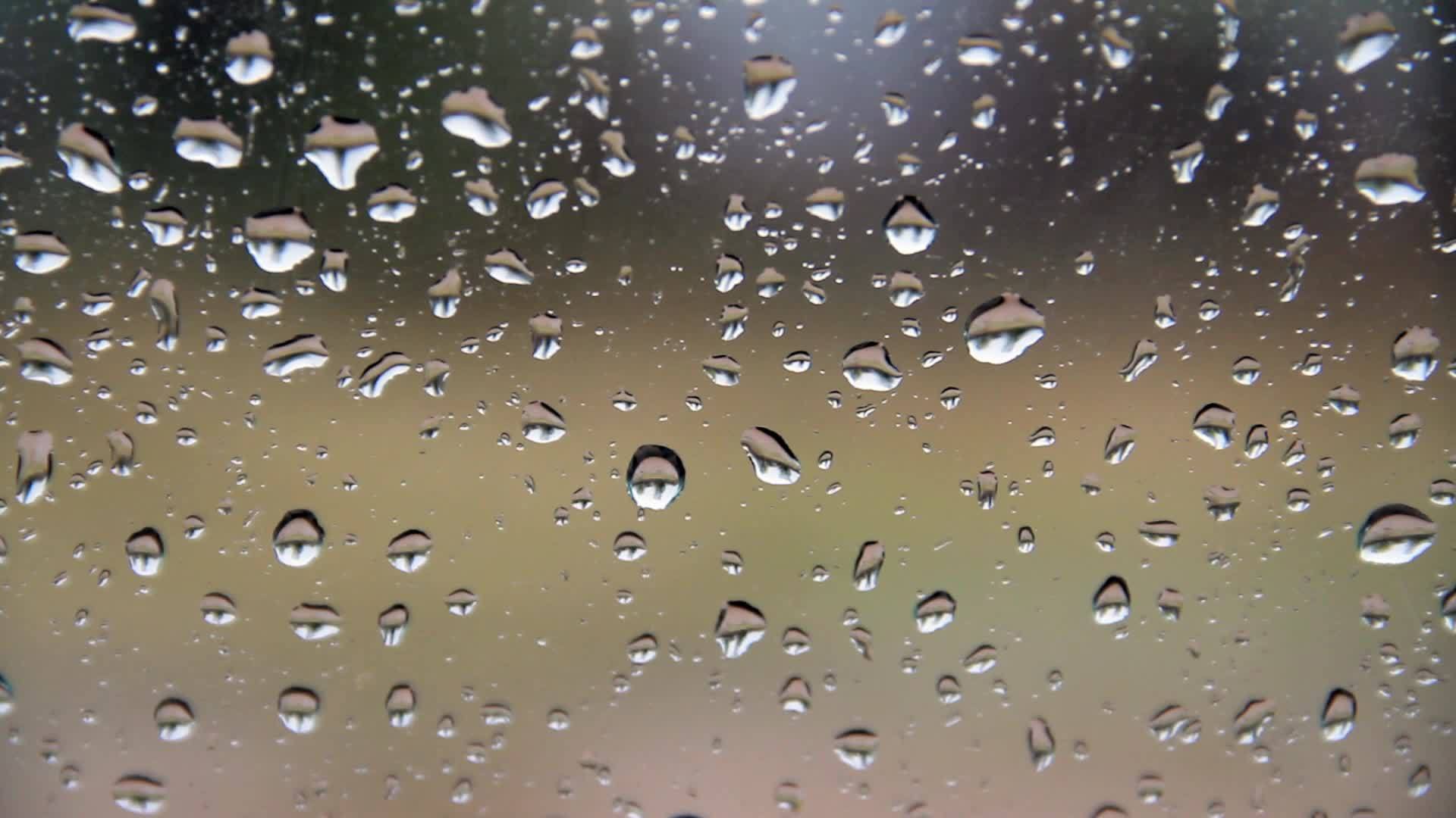 窗外的雨滴视频的预览图