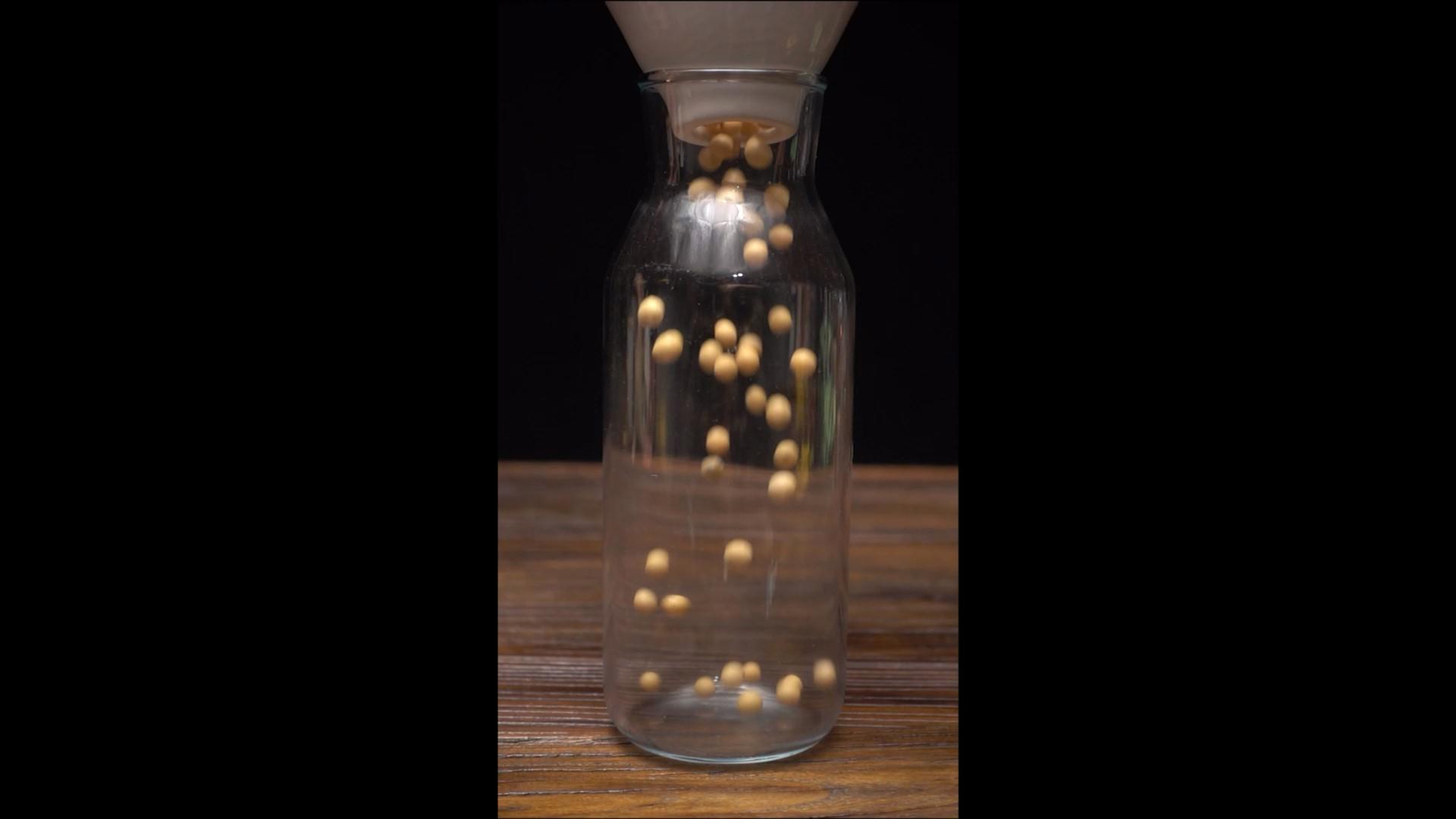 竖屏升格黄豆玻璃瓶中下落视频的预览图