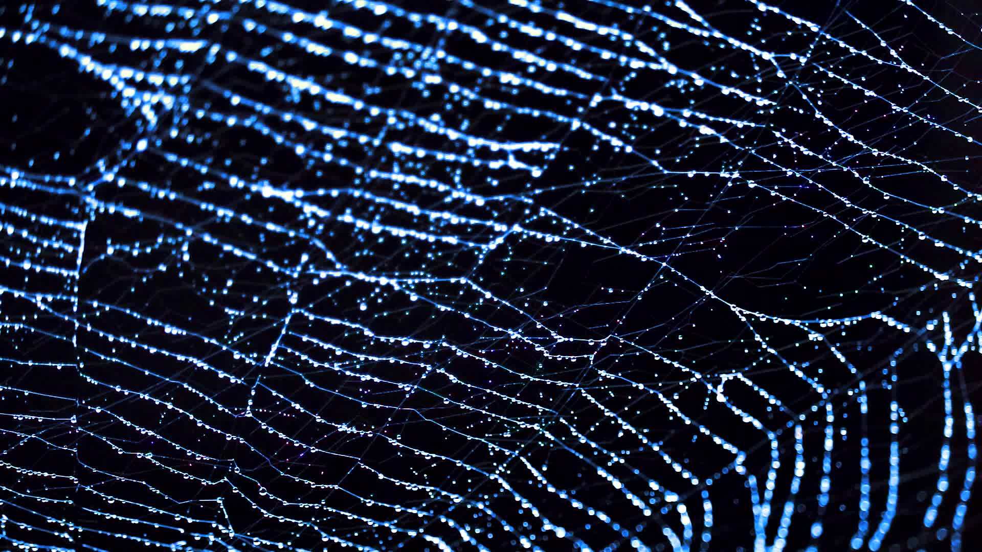 蜘蛛网和风向移动的浅蓝色雨滴视频的预览图