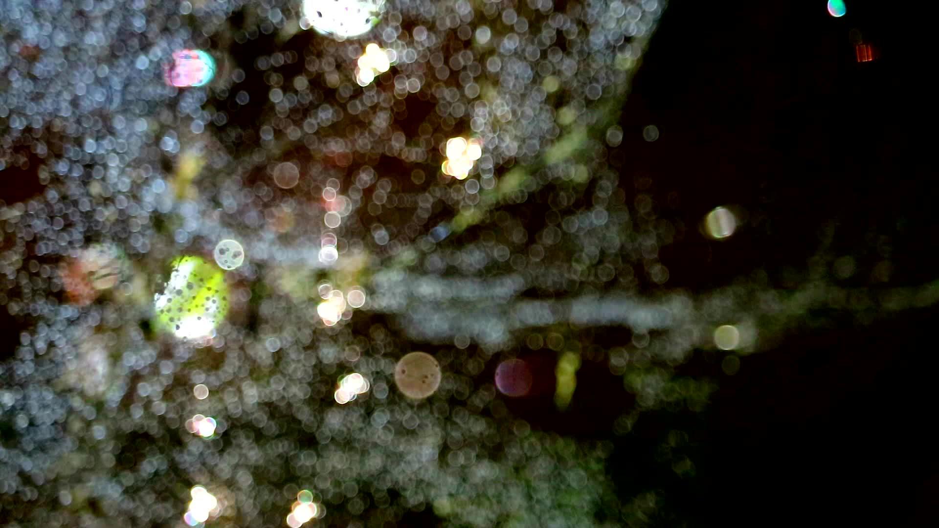 蜘蛛网上模糊多彩的雨滴屋顶上的锈蚀破碎视频的预览图