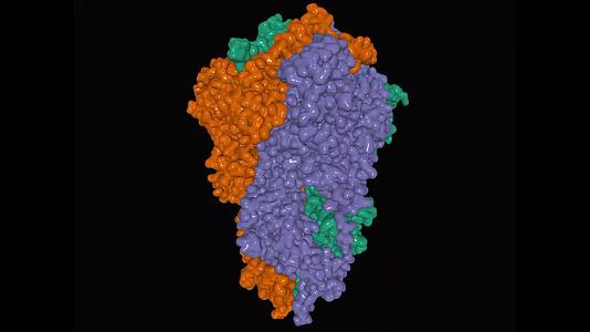 蛋白结构结构视频的预览图