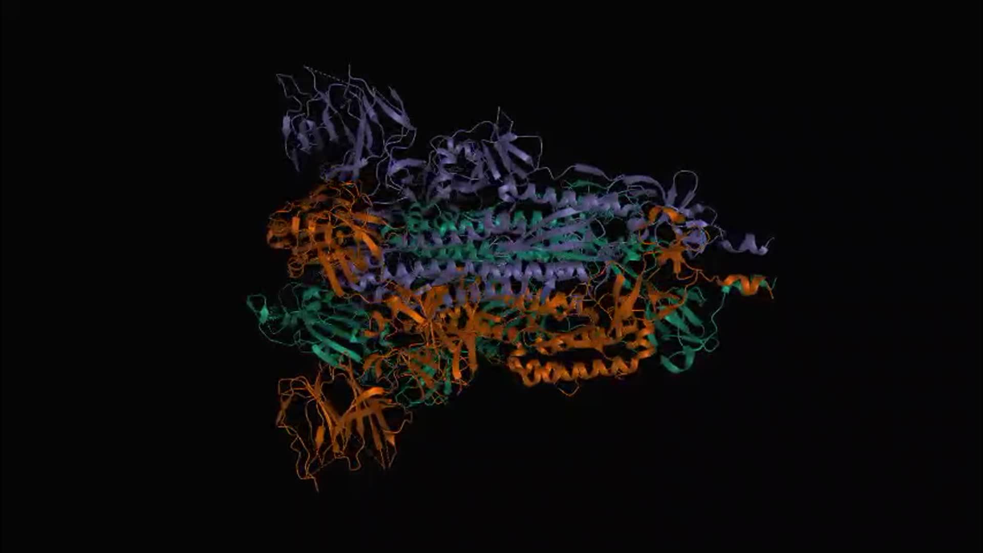 蛋白结构视频的预览图