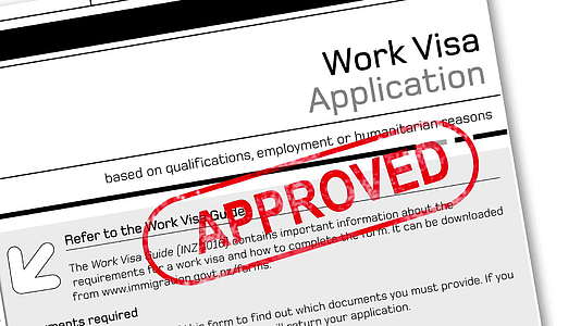 工作签证申请文件动画视频的预览图