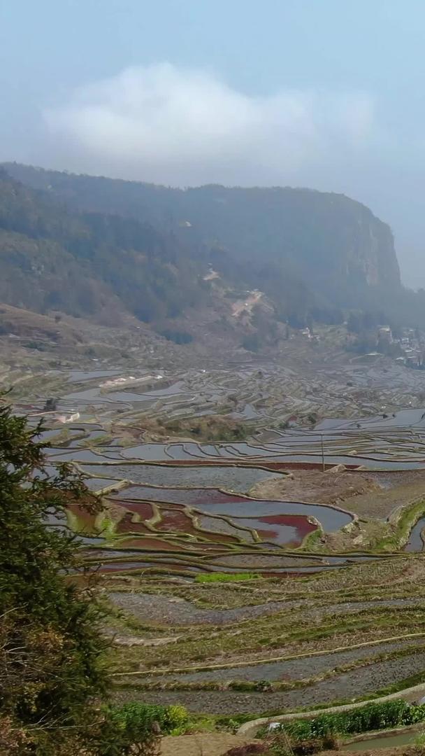 田老鹰嘴景区红河哈尼元阳梯景区视频视频的预览图