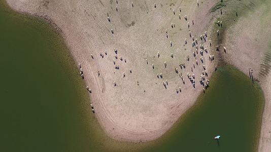 在葡萄牙阿连特鲁的一座大坝上无人机用来俯瞰湖泊和乡村的田野视频的预览图
