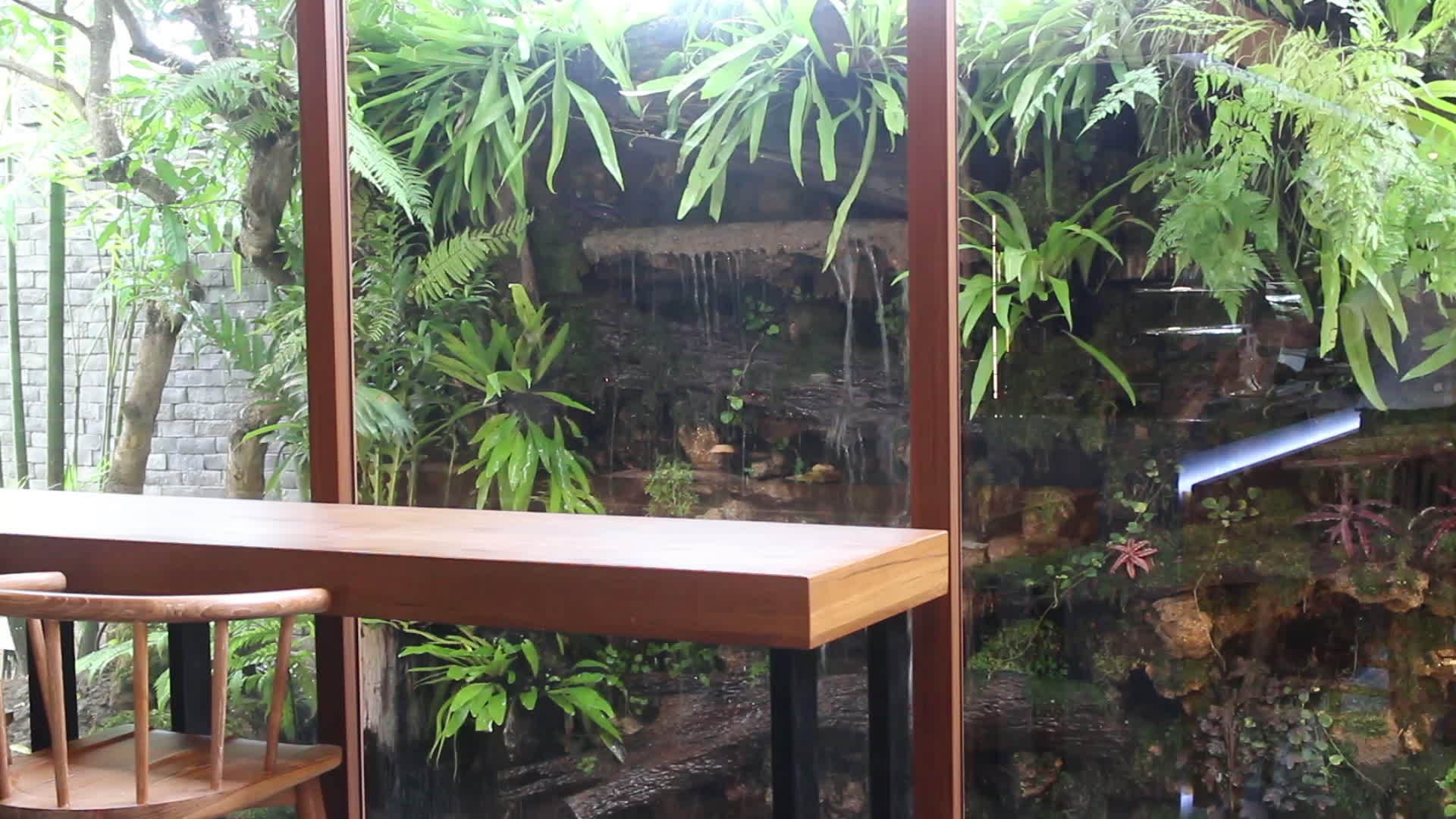 热带花园的蒸汽试验视频的预览图