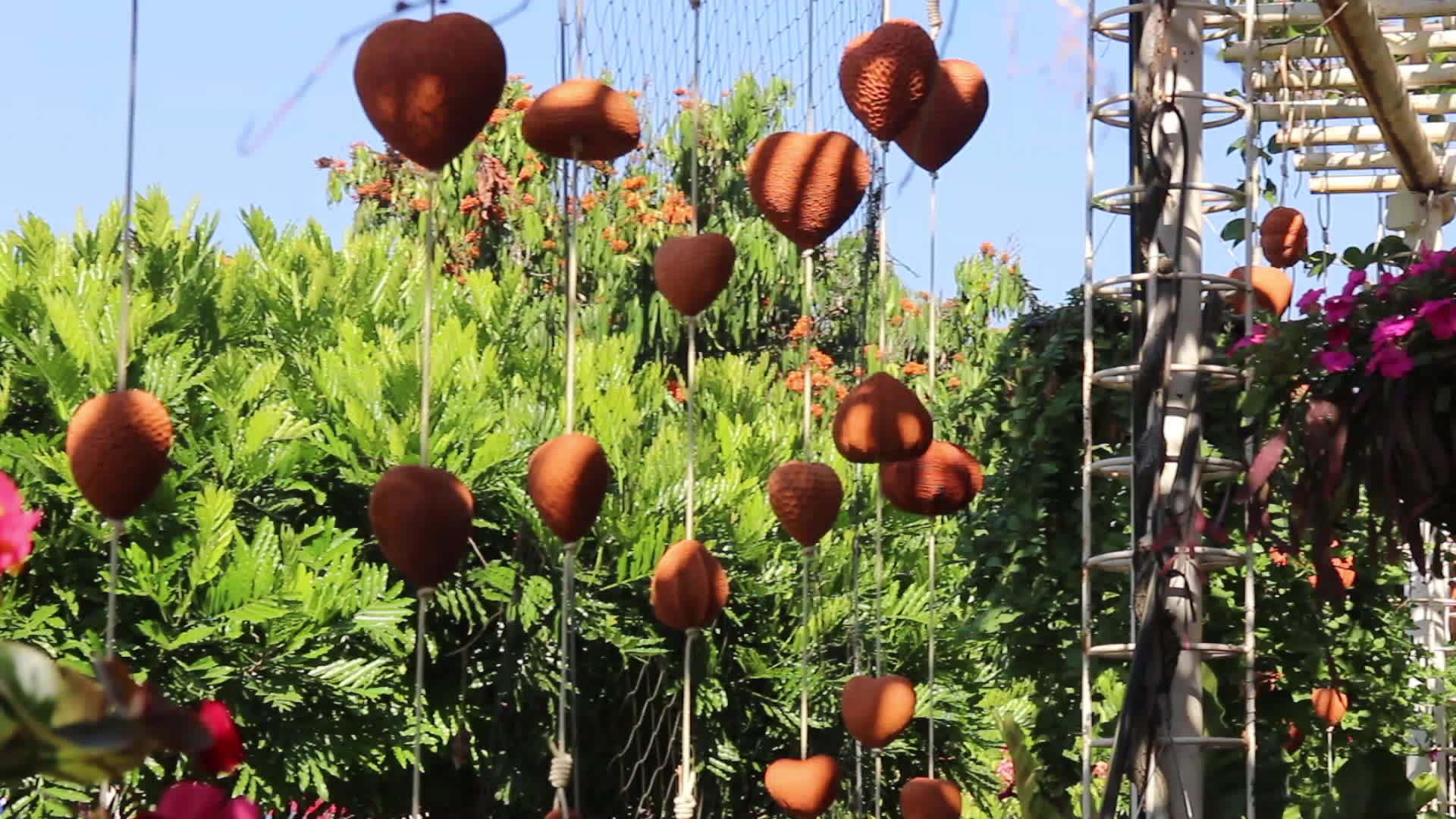 花园内装饰的手工自制移动视频的预览图