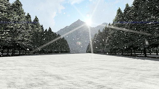 阳光明媚的山雪雪视频的预览图
