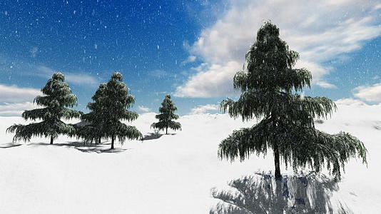 冬天树下的雪 平静的一天视频的预览图