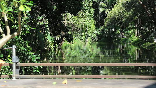 热带水池绿色度假村视频的预览图