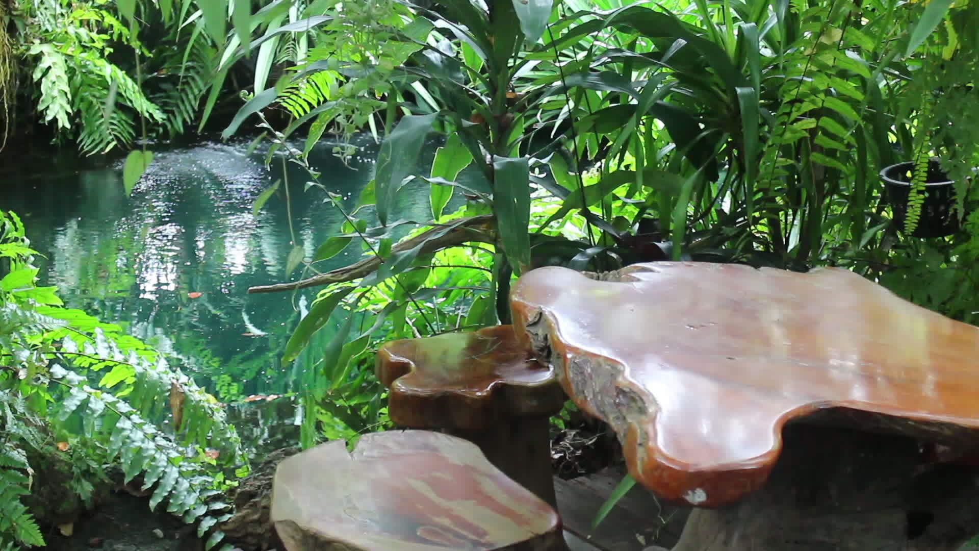 冷热带花园的座位视频的预览图