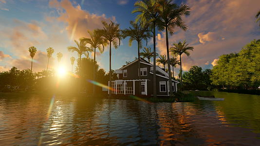 房子周围有水和棕榈树视频的预览图