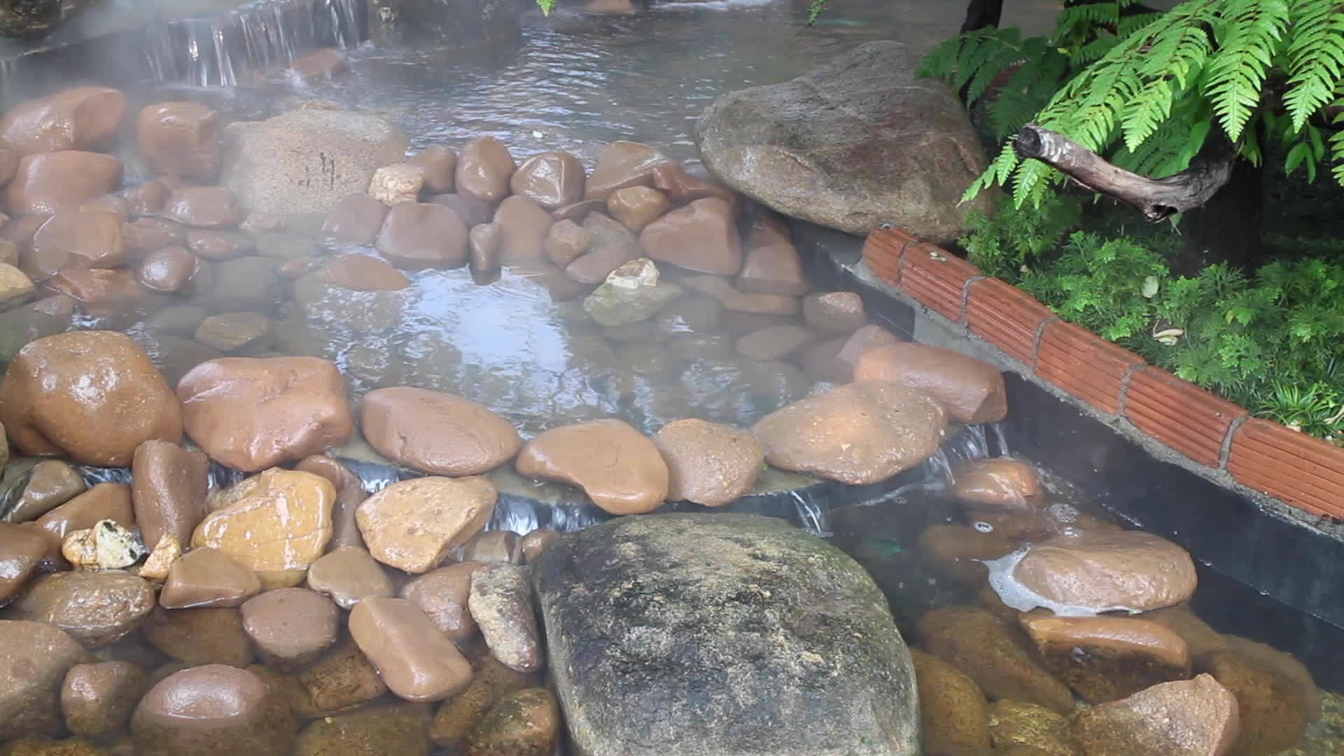 在热带花园里放松瀑布视频的预览图