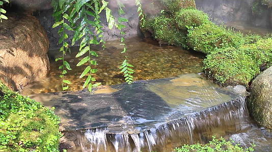 在热带花园里放松瀑布视频的预览图