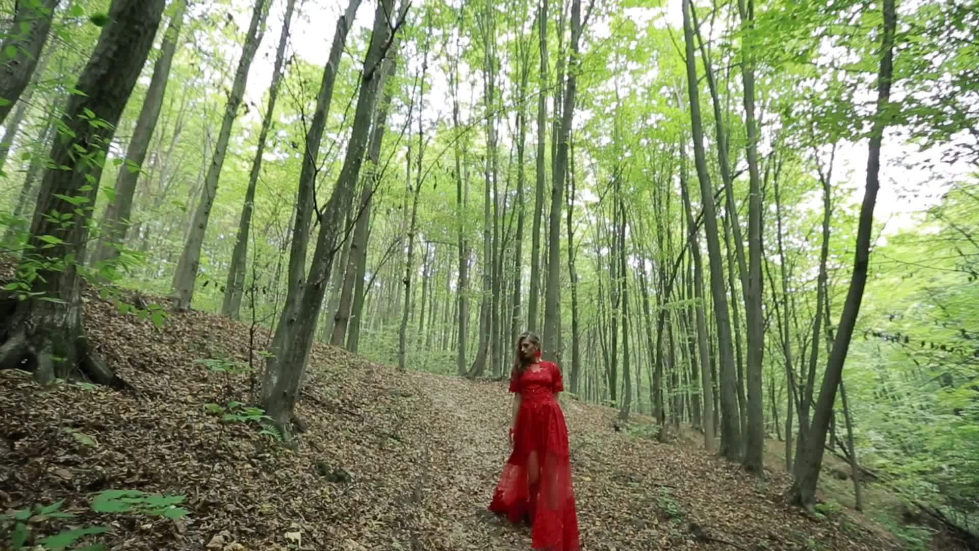 美丽的女人穿过绿林视频的预览图