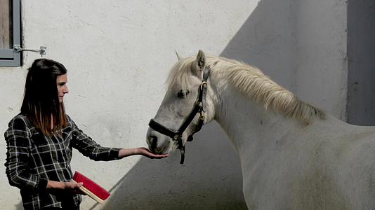 年轻女骑手梳白马视频的预览图