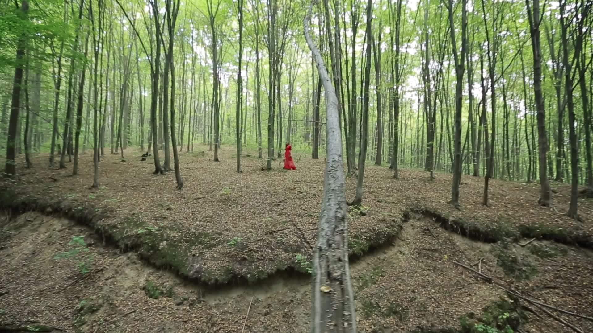 美丽的女人在森林里行走视频的预览图