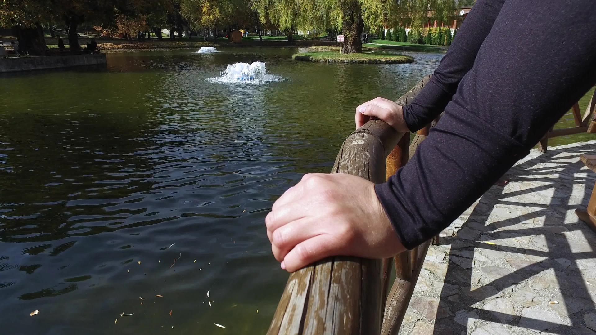 坐在篱笆上在公园的池塘里窥视视频的预览图