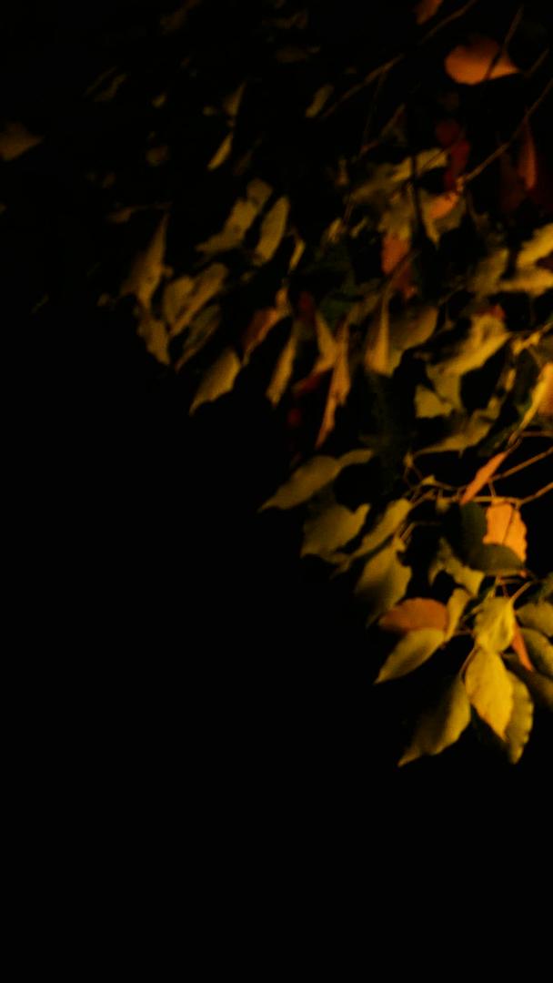 夜晚城市夜景古典路灯孤独灯光昏黄路灯视频的预览图