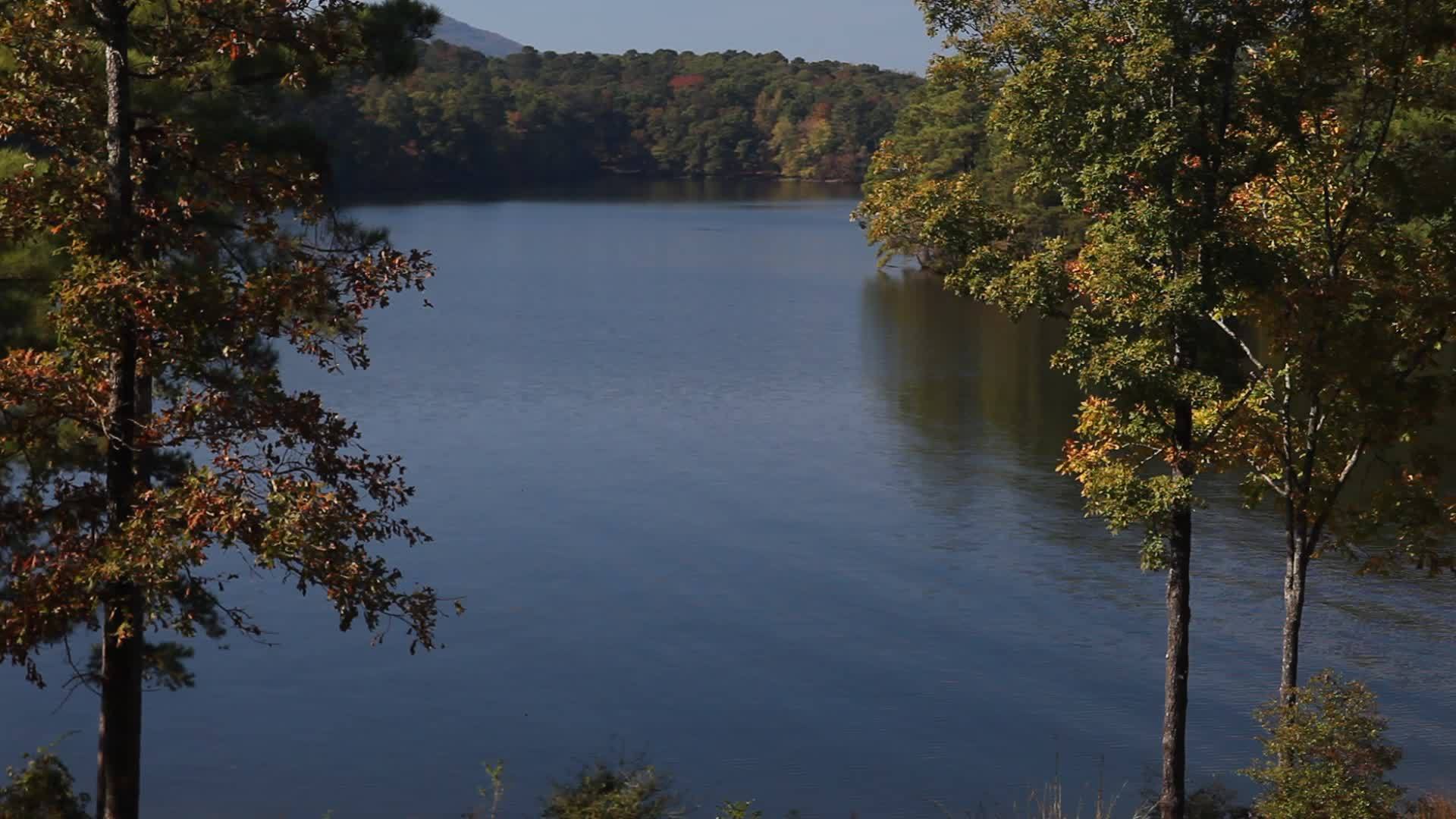 美丽的阿肯色州湖景视频的预览图