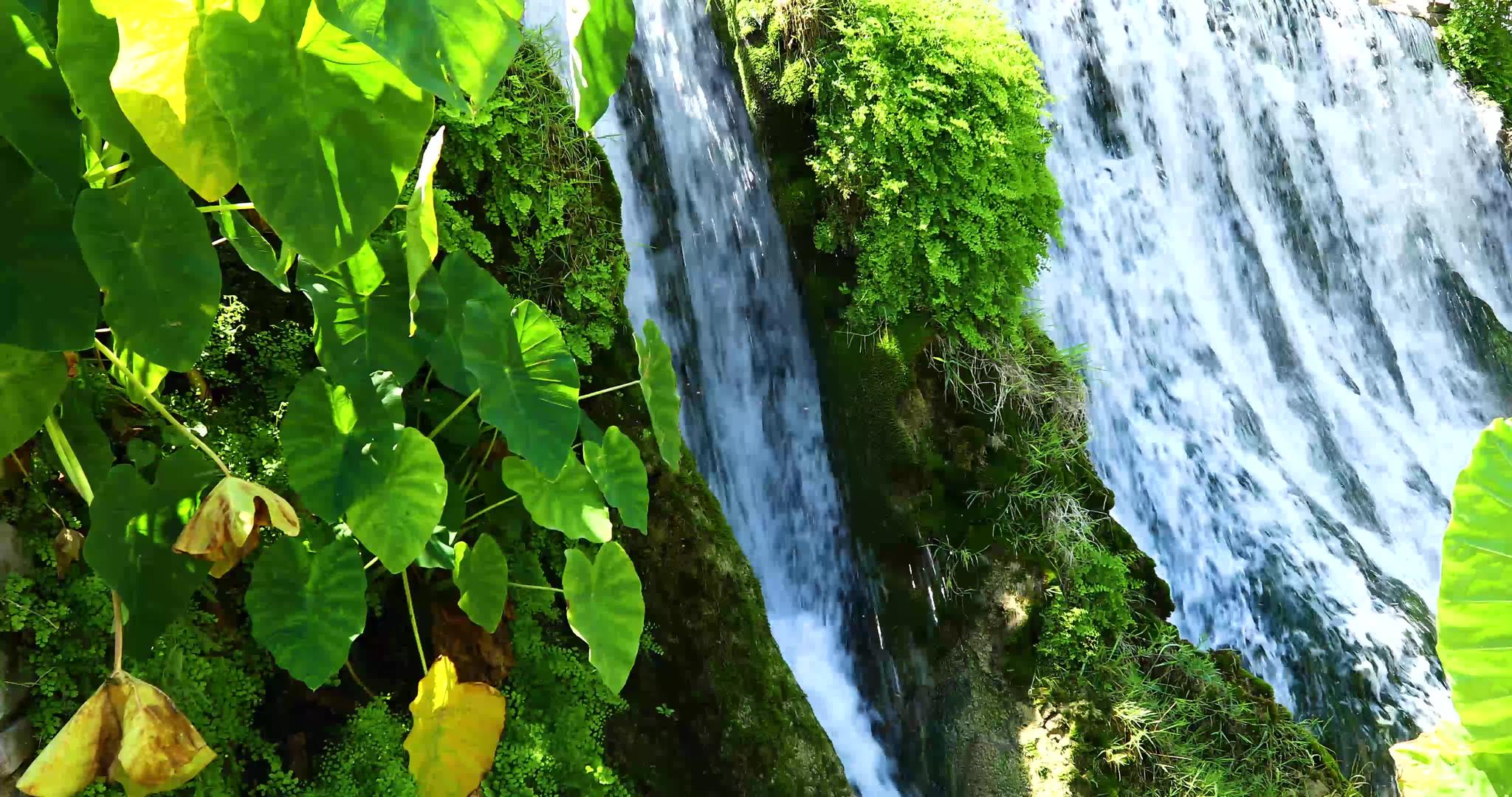 瀑瀑一幕视频的预览图