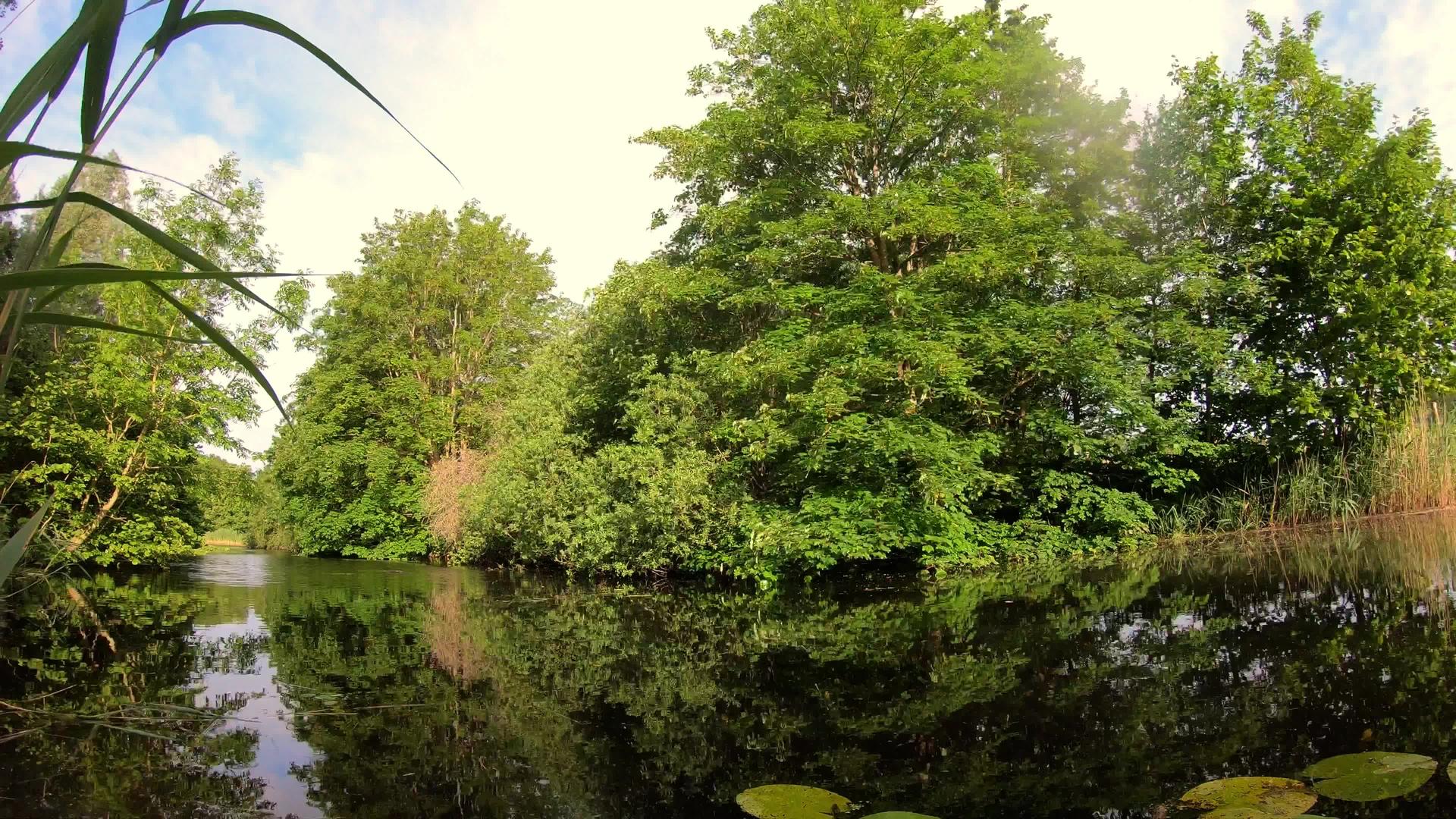 美丽自然绿公园4k视频的预览图