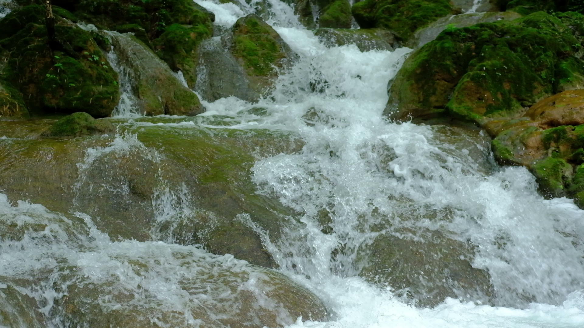 山、溪、岩、水、瀑布中的自然河流景观森林层层形成视频的预览图