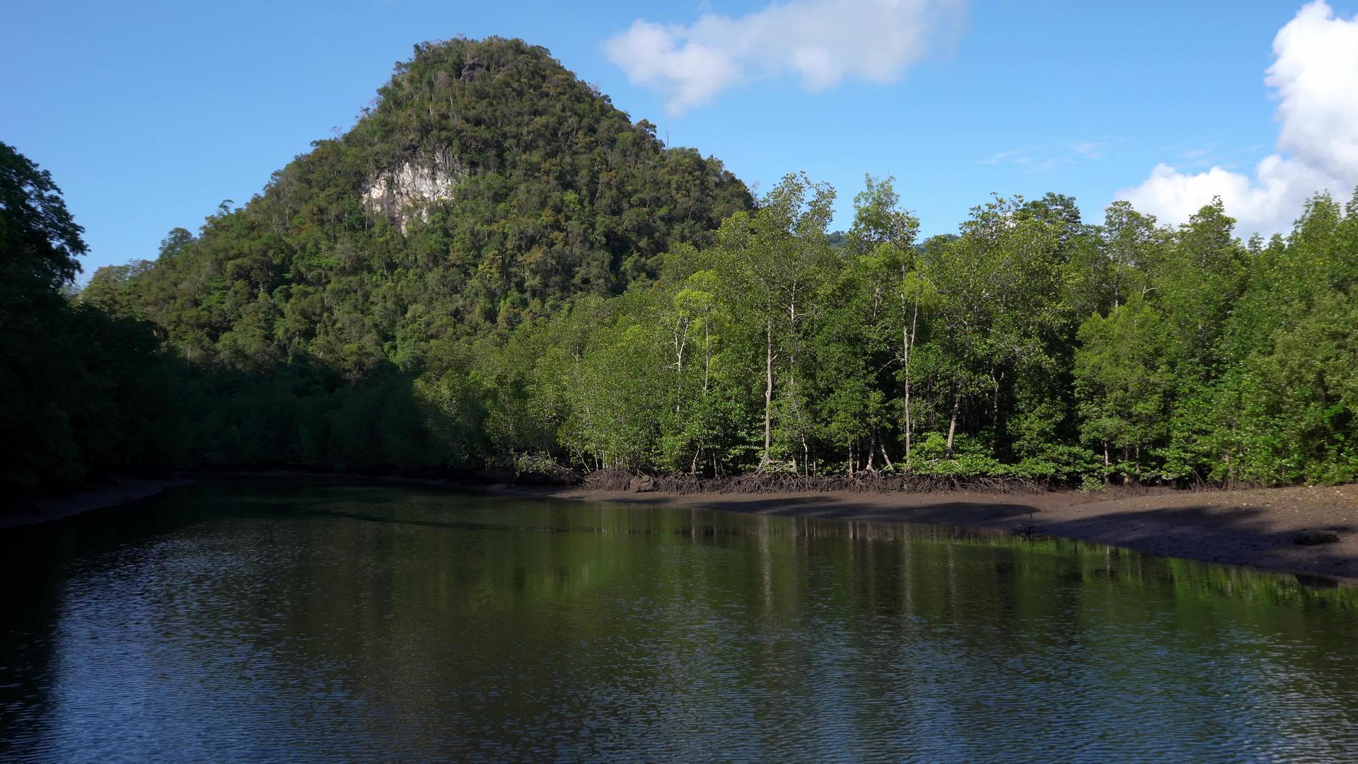在森林和山脉的背景下自然景观流淌的河流享受着大自然的美视频的预览图