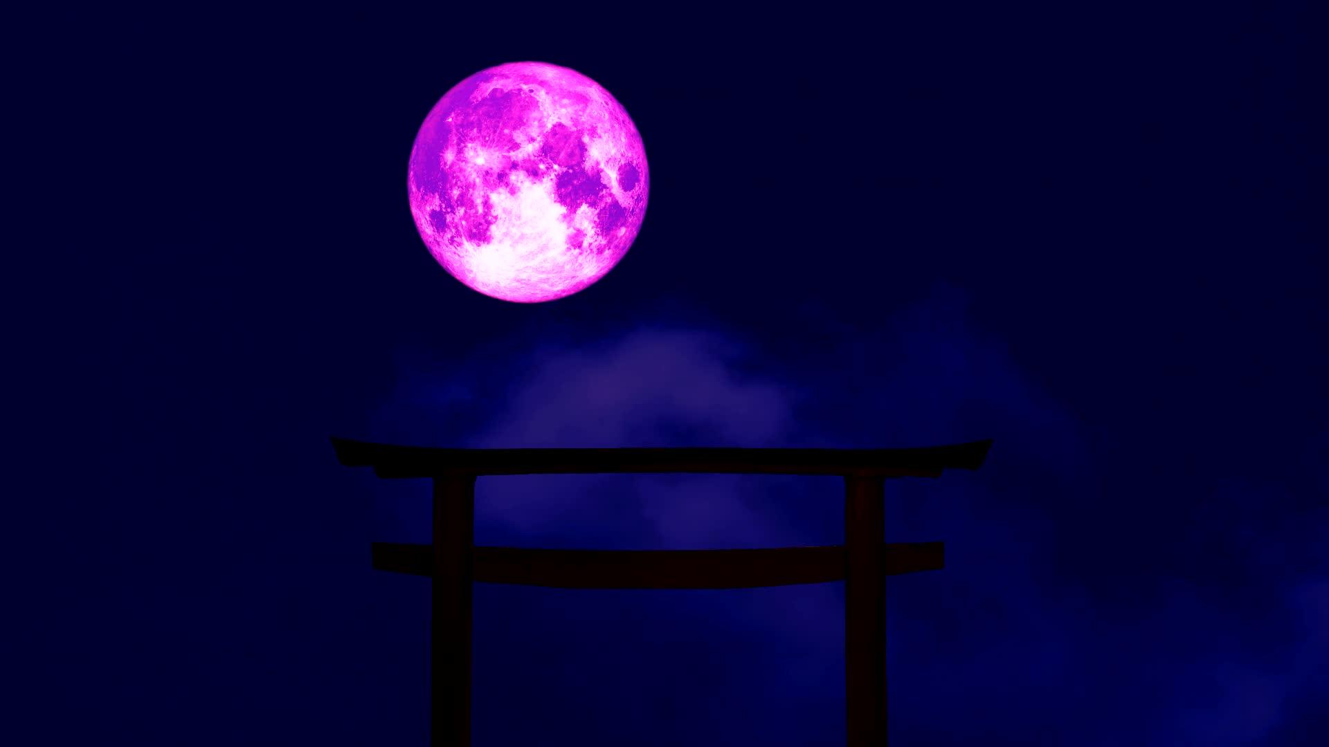 粉红色的月亮在黑暗的夜空中飘回托里森林和云层视频的预览图