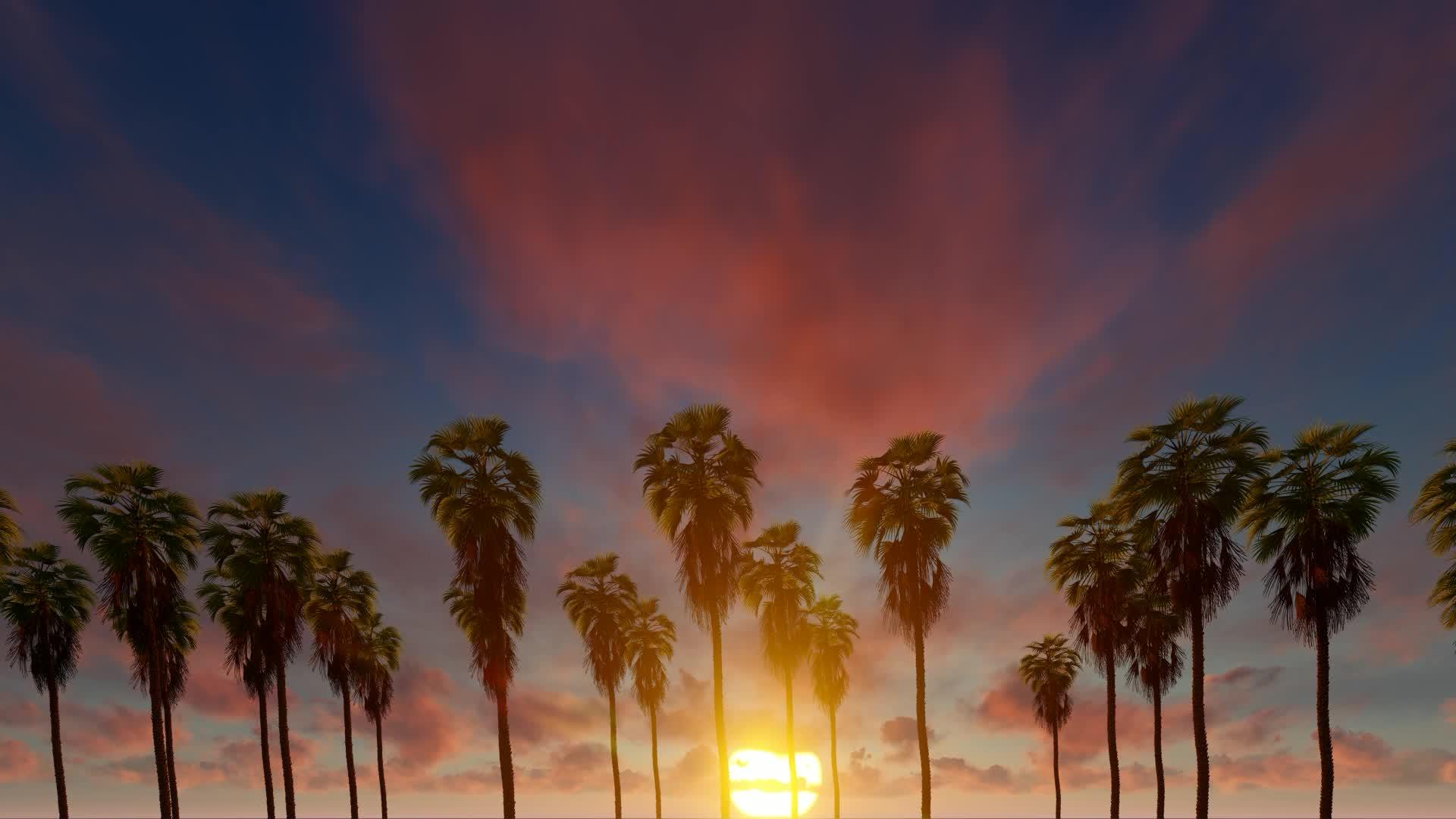 在美丽的日落风中棕榈树视频的预览图