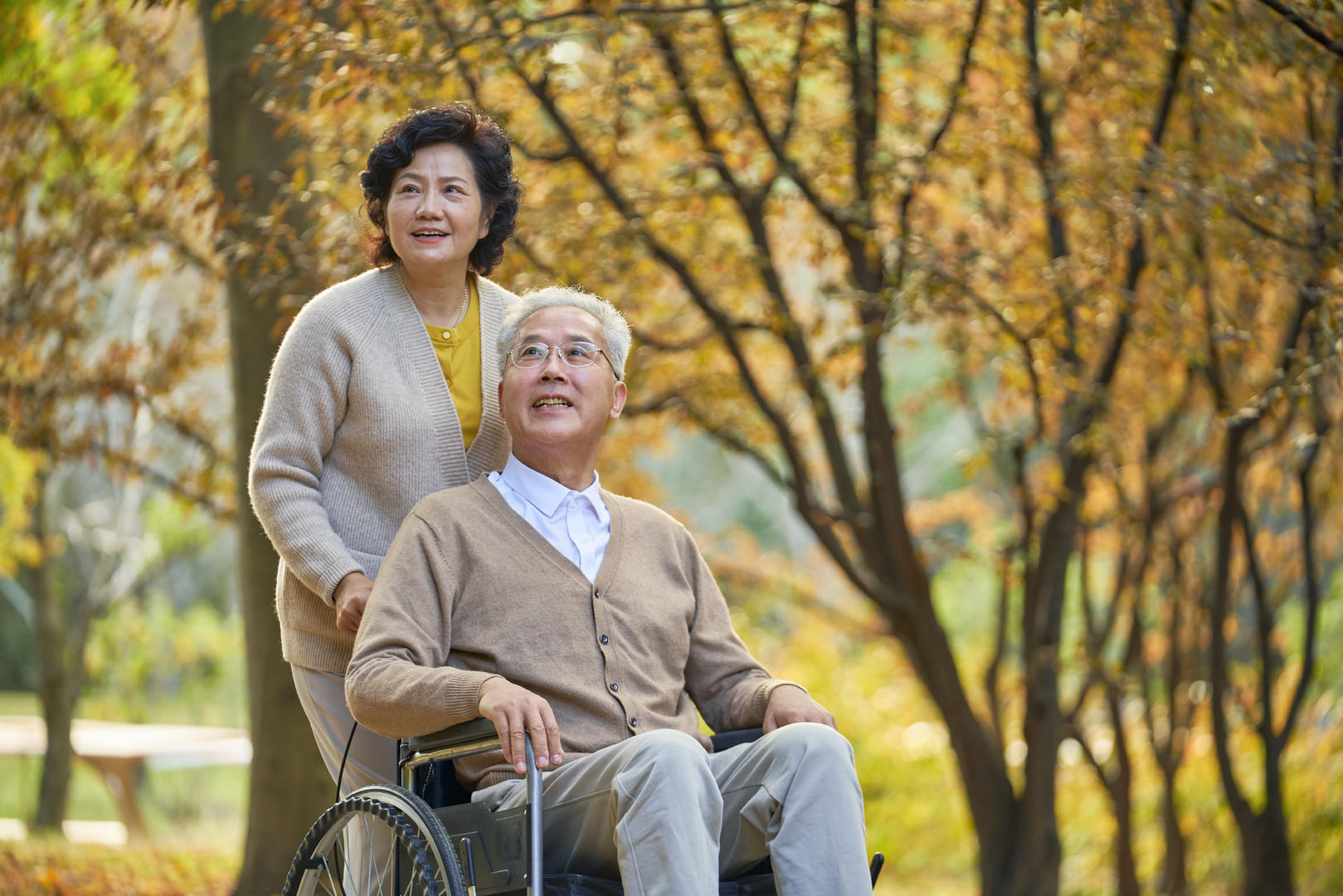 4k老年夫妇推着轮椅相伴逛公园视频的预览图