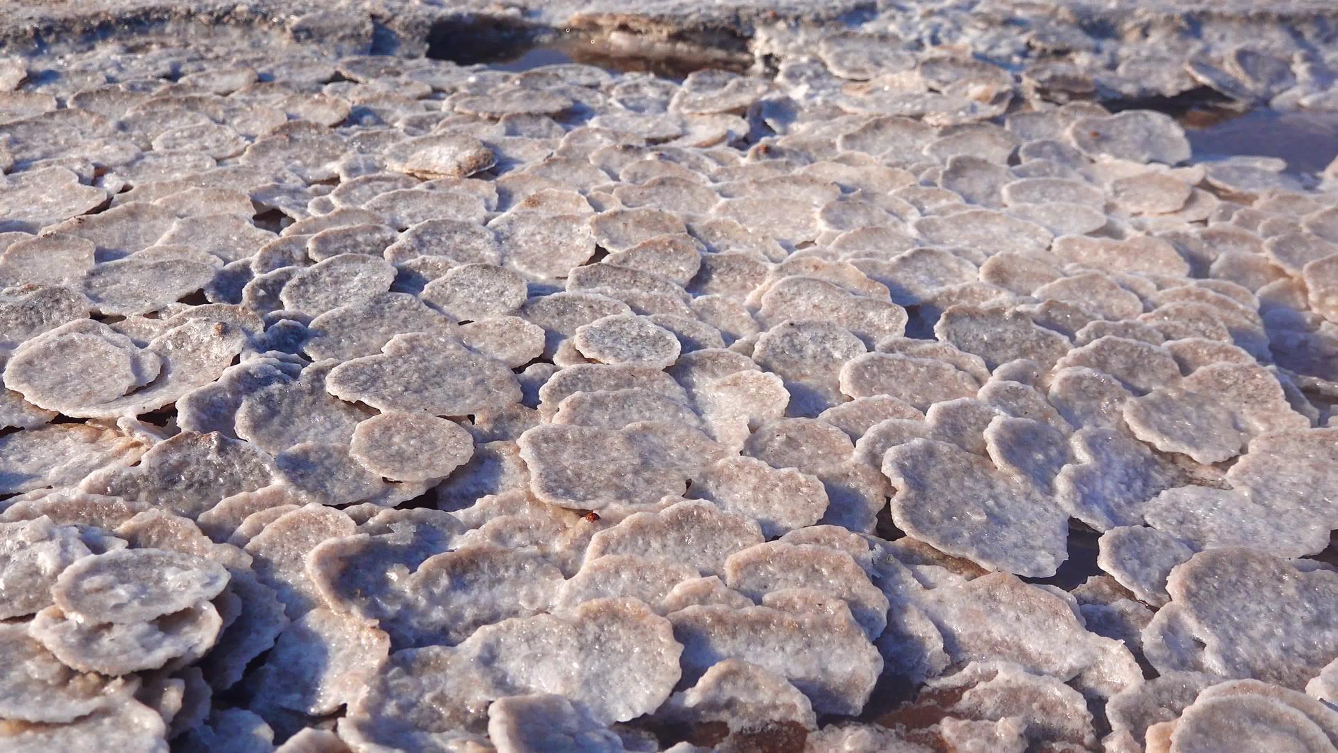 黑海盐以圆形煎饼的形式出现在底部和河口岸边视频的预览图