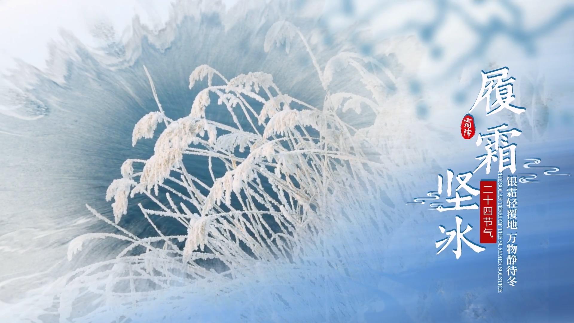 简洁清新霜降图展示AE模板视频的预览图