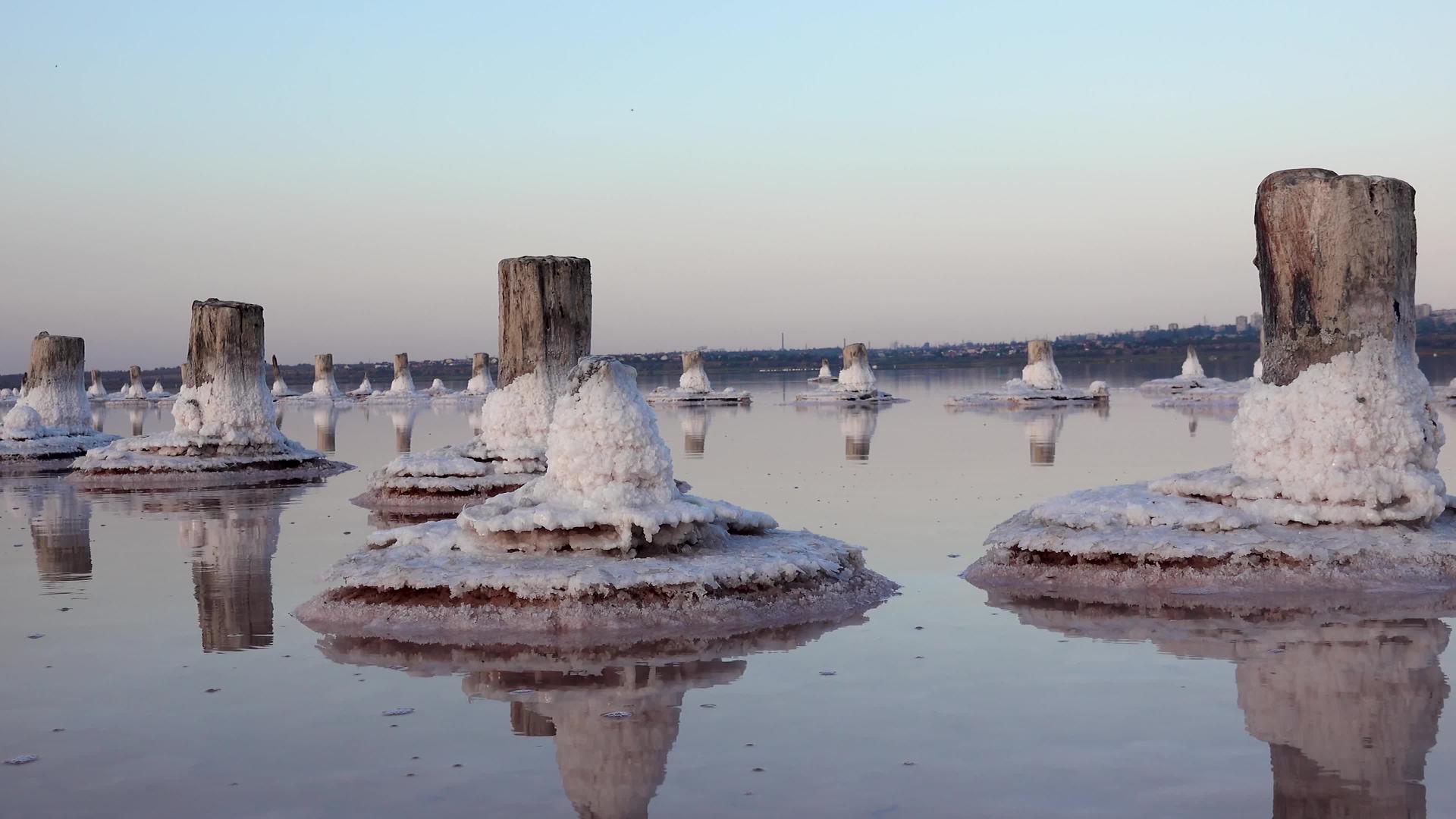 盐湖木原木上的自沉盐干湖中的高盐水是一个环境问题视频的预览图