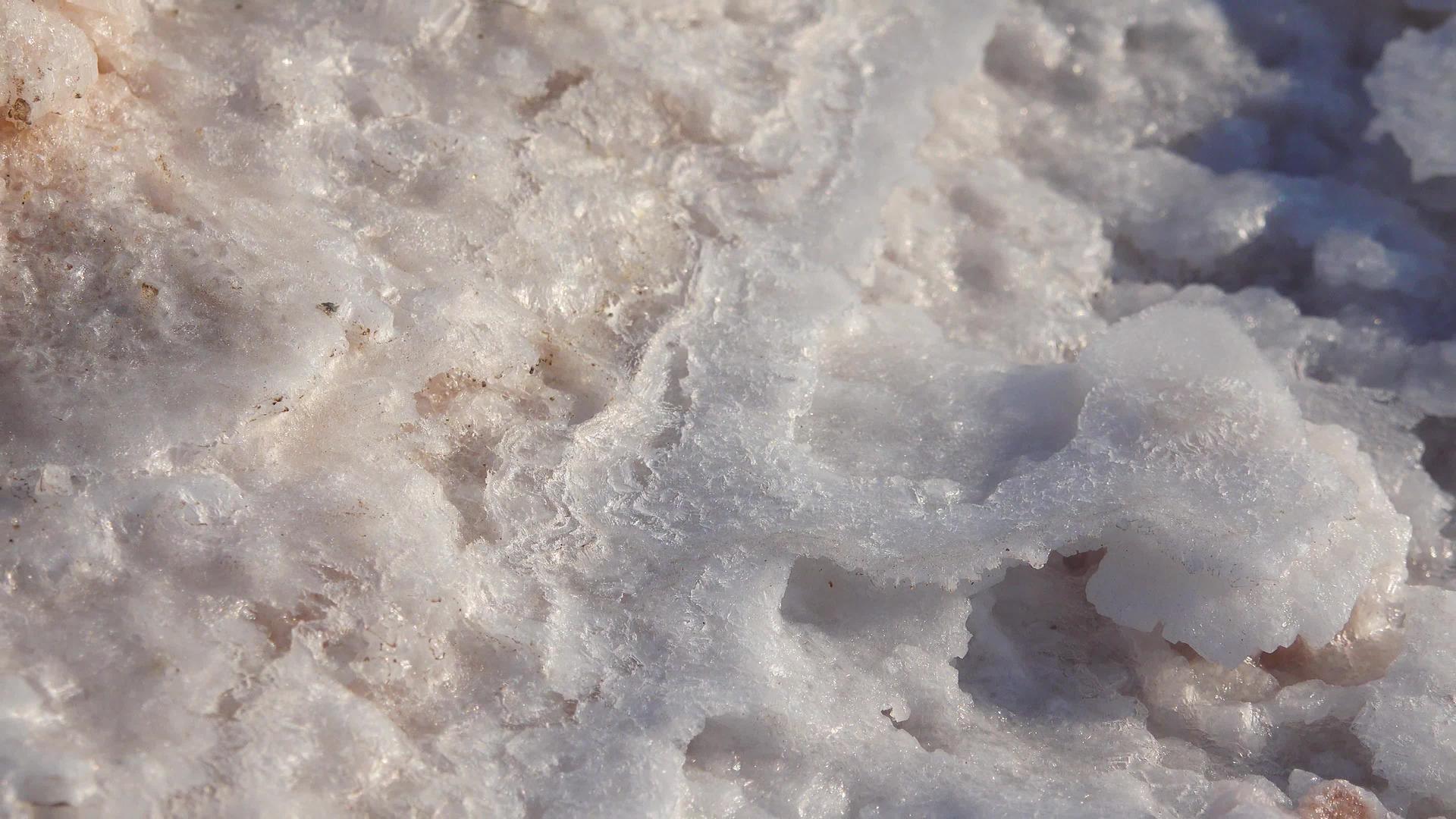 一只死蚂蚁被保存在盐湖的自降盐中视频的预览图