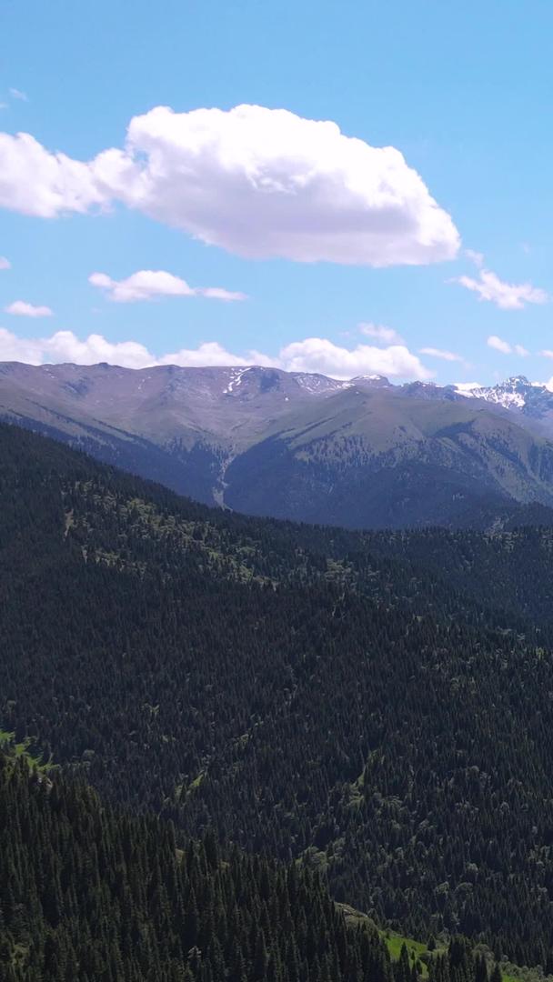 新疆蓝天白云天山旅游景点自然风光素材视频的预览图