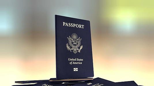 艺术美国旅行护照的艺术家视频的预览图