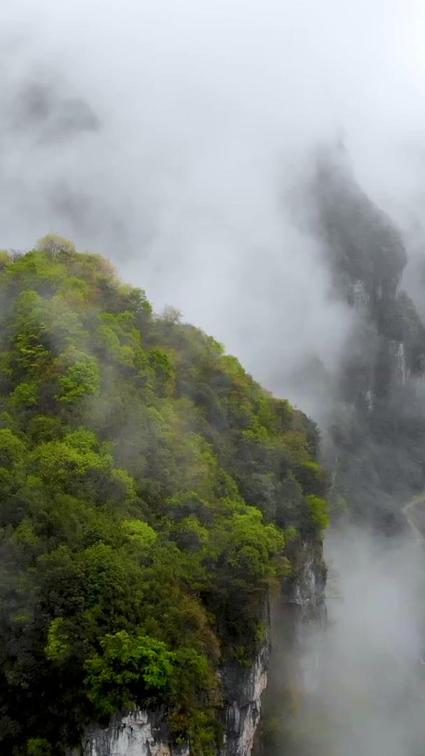 山脉深处的自然风光视频的预览图