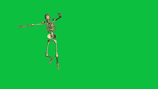 3D骨架投降动画视频的预览图