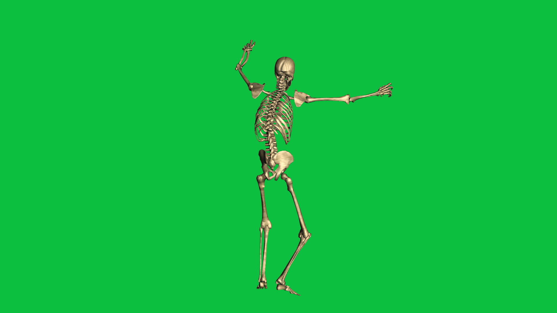 3D绿幕骨架投降动画视频的预览图